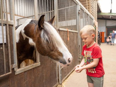 Bild 24 aus  Ferienhof Frieslandstern