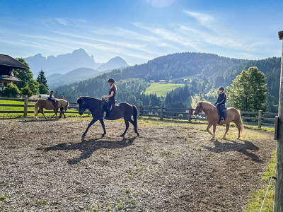 Bild 13 aus  Mittersteghof