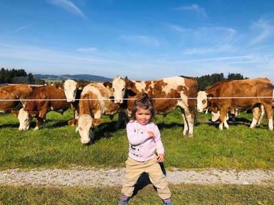 Bild 15 aus  Wagegger Hof