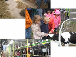 Bild 10 aus  Bernis Ferienhaus