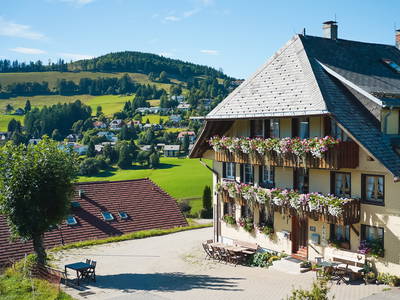 Bild 2 aus  Sunmattehof