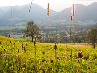 Bild 16 aus  Plenkhof