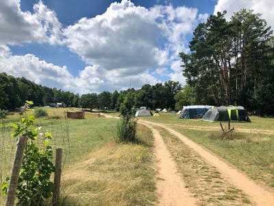 Bild 37 aus  Biber Ferienhof