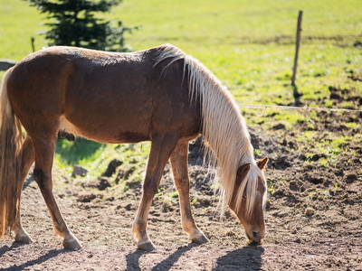 Bild 21 aus  Friedershof