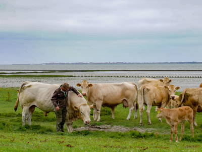 Bild 13 aus  Adrianenhof