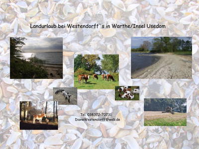 Bild 7 aus  Landurlaub bei Westendorff's in Warthe / Insel Usedom
