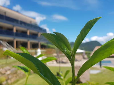 Bild 62 aus  Apart Hotel Malga