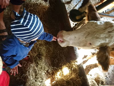 Bild 27 aus  Keilhof