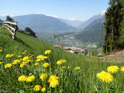 Bild 15 aus  Ederhof