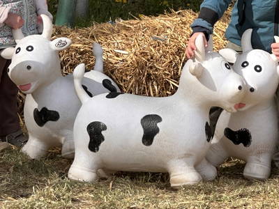 Bild 12 aus  Hof Belvedere an der Ostsee