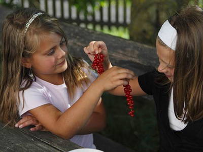 Bild 11 aus  Pristinger Hof