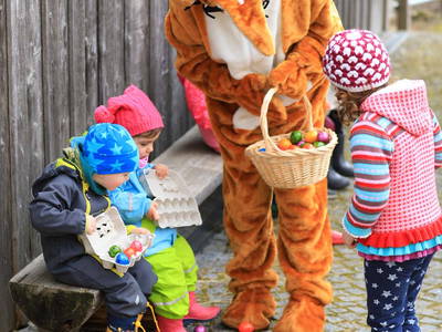 Bild 56 aus  Paulas Bauernhof im Bayerischen Wald