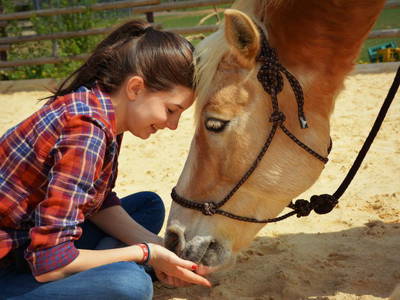 Bild 29 aus  LandSelection Grieshof