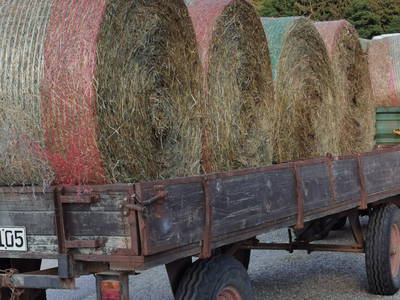 Bild 45 aus  Frankhof