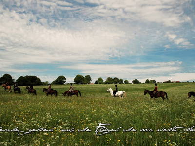 Bild 41 aus  Fenwick Farm