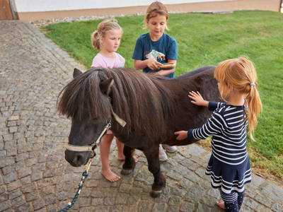 Bild 23 aus  Wenighof