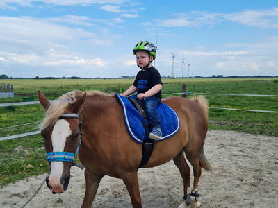 Bild 46 aus  Küstenhof Oldewurtel