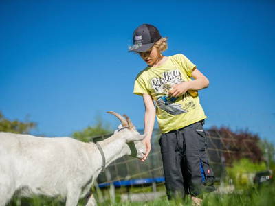 Bild 17 aus  Ferienhof Becker
