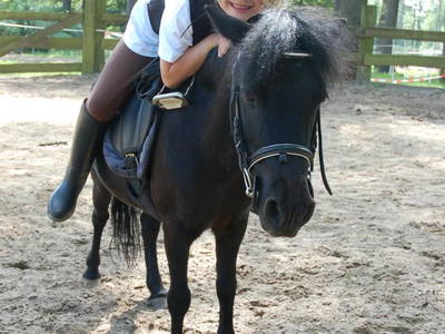 Bild 5 aus  Beekenhof