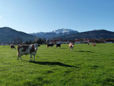 Bild 5 aus  Abrahamhof