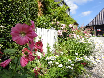 Bild 16 aus  Ferienhof Presener Deichkrone