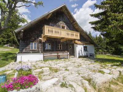 Bild 4 aus  Erlebnis-Bio-Bergbauernhof Link'n Hof