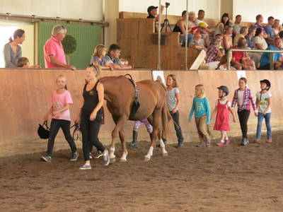 Bild 44 aus  Bernsteinreiter Hirschburg