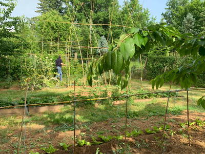Bild 40 aus  Le Colombié - Ferienhäuser an der Dordogne mieten