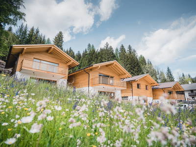 Bild 2 aus  Residence Waldrelax