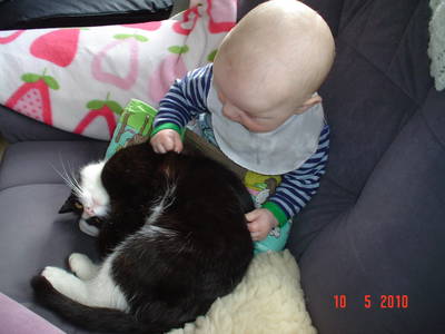 Bild 5 aus  Fredensminde Ferie