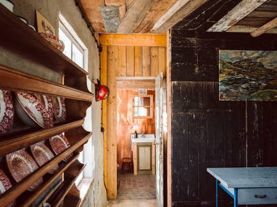 Bild 9 aus  Projektraum "Obst und Sterne"