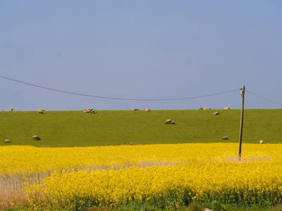 Bild 15 aus  NEUDEICHER HOF - Oldewurtel