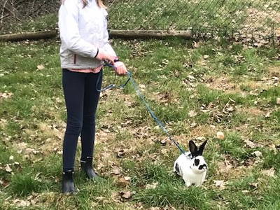 Bild 17 aus  Ferienhof  Jeiler