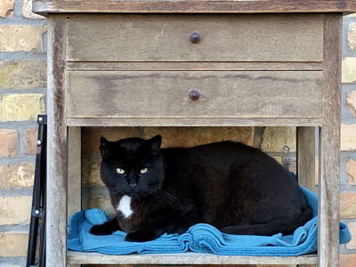 Bild 13 aus  Braunsberger Höfe