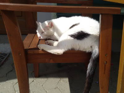 Bild 27 aus  Ferienhof Ott im Romantischen Franken bei Rothenburg o.d.T.