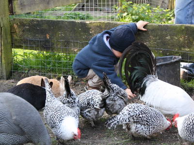 Bild 6 aus  Willrathshof