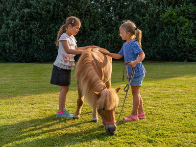 Bild 50 aus  Ferienwohnungen Wagner