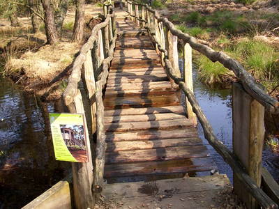 Bild 21 aus  Biohof Grafel - ein Ort, der verbindet