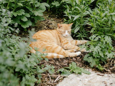 Bild 22 aus  Hellbachhof