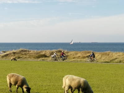 Bild 5 aus  Ferienhof Wisch an der Ostsee