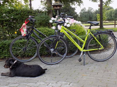 Bild 10 aus  "Ekenhoff"