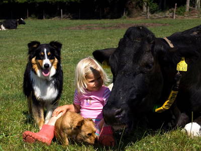 Bild 3 aus  Heidehof