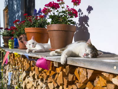 ... mach mal Pause ...