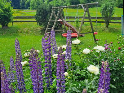 Bild 17 aus  Bichlerhof