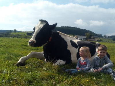 Bild 19 aus  Familienbauernhof Faß