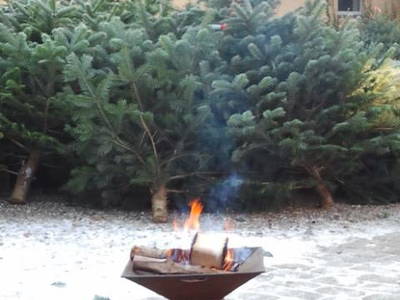 Bild 10 aus  Folehavegaard