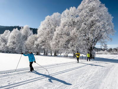 Bild 32 aus  Hornergut