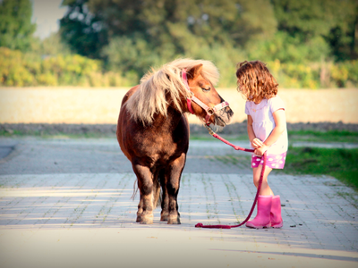 Bild 8 aus  Ferienhof  "Groot Plaats"
