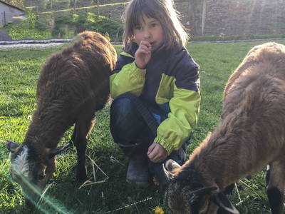 Bild 33 aus  LandSelection Gutshof Käppeler