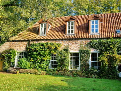 Südseite zum Garten